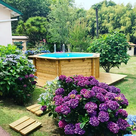 De Charme Parc Fleuri, Arboré Et Piscine à Villa *