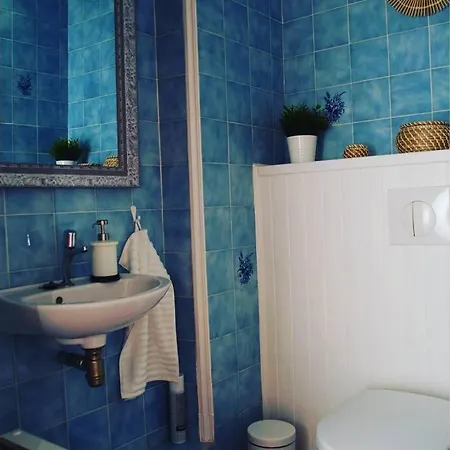 De Charme Parc Fleuri, Arbore Et Piscine A Μπιαρίτζ