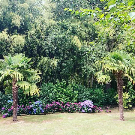 De Charme Parc Fleuri, Arbore Et Piscine A Villa *