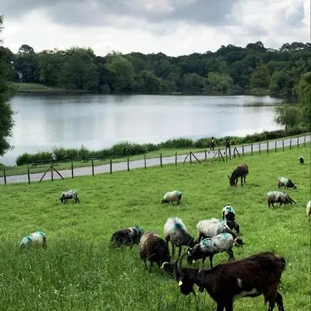 Villa De Charme Parc Fleuri, Arbore Et Piscine A Biarriz