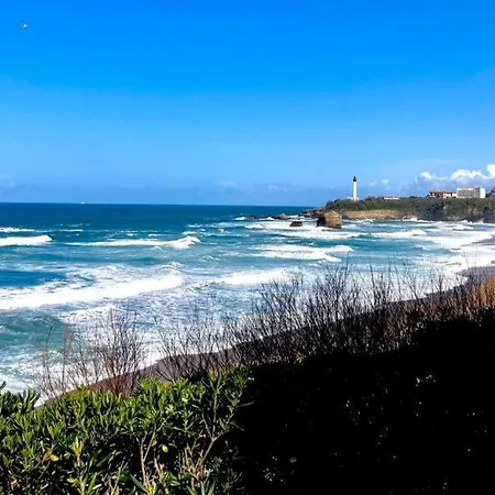 De Charme Parc Fleuri, Arbore Et Piscine A