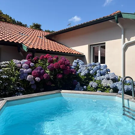 Vila De Charme Parc Fleuri, Arbore Et Piscine A
